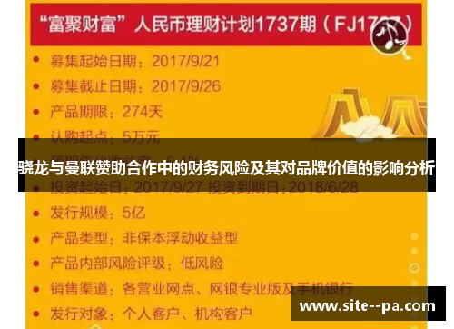 骁龙与曼联赞助合作中的财务风险及其对品牌价值的影响分析 骁龙与曼联赞助合作中的财务风险及其对品牌价值的影响分析